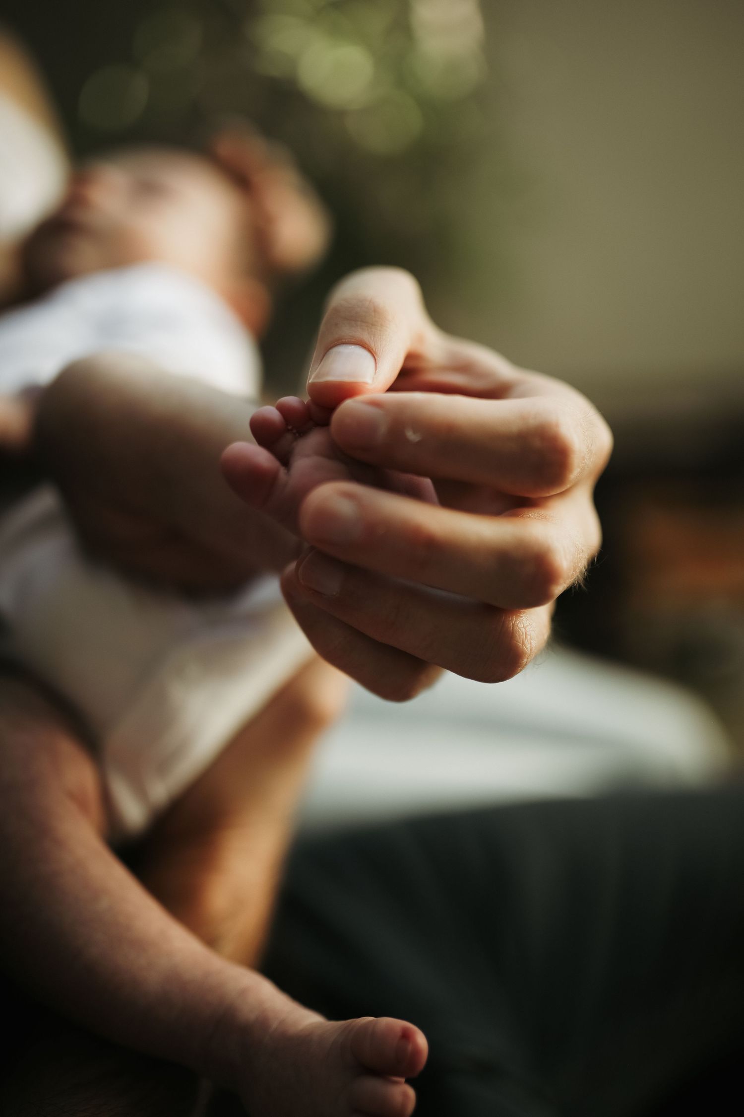 Close-up of parent's hand holding newborn baby's foot, Sydney newborn photography