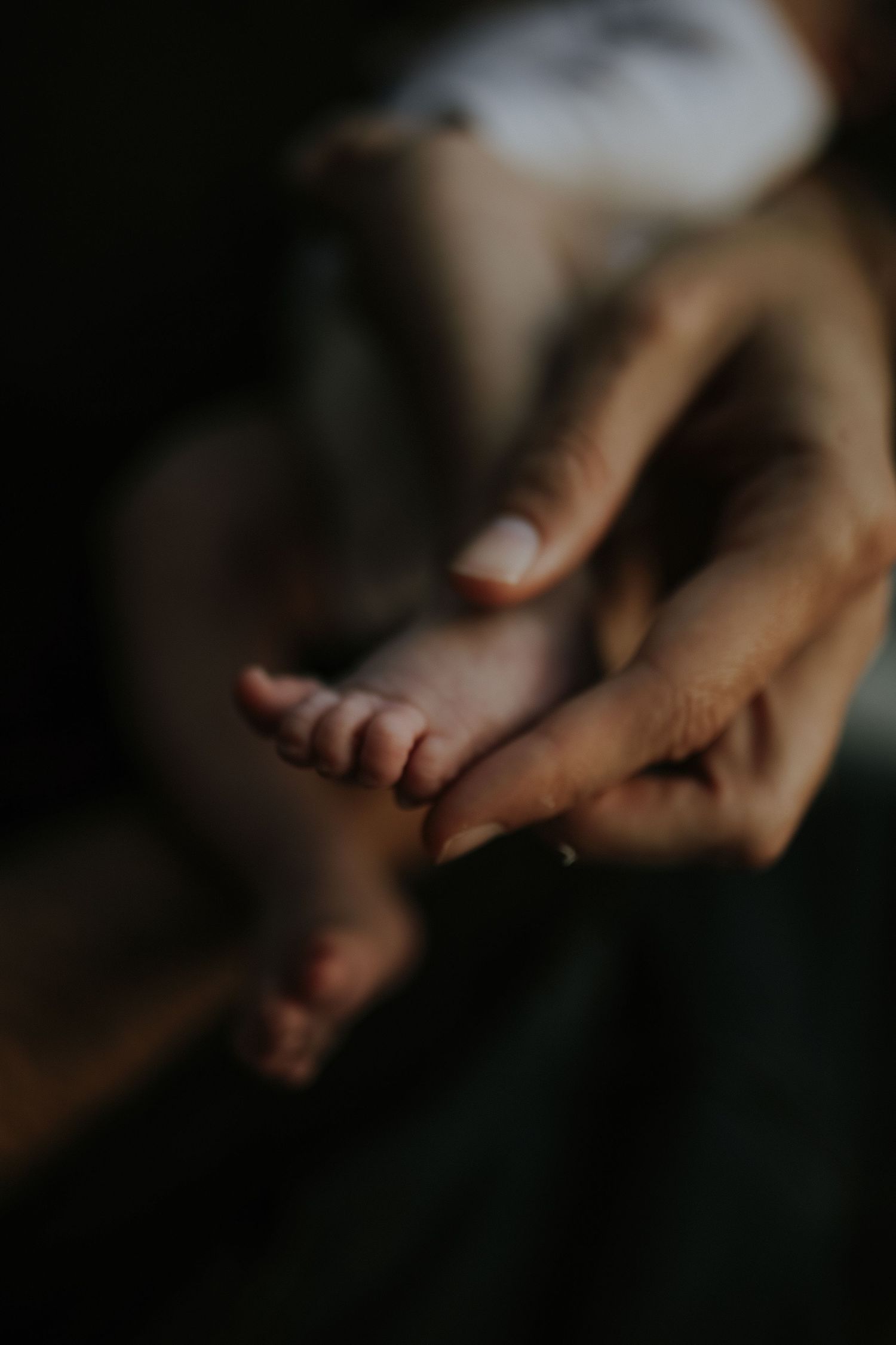 Close-up of parent's hand holding newborn baby's foot, Sydney newborn photography