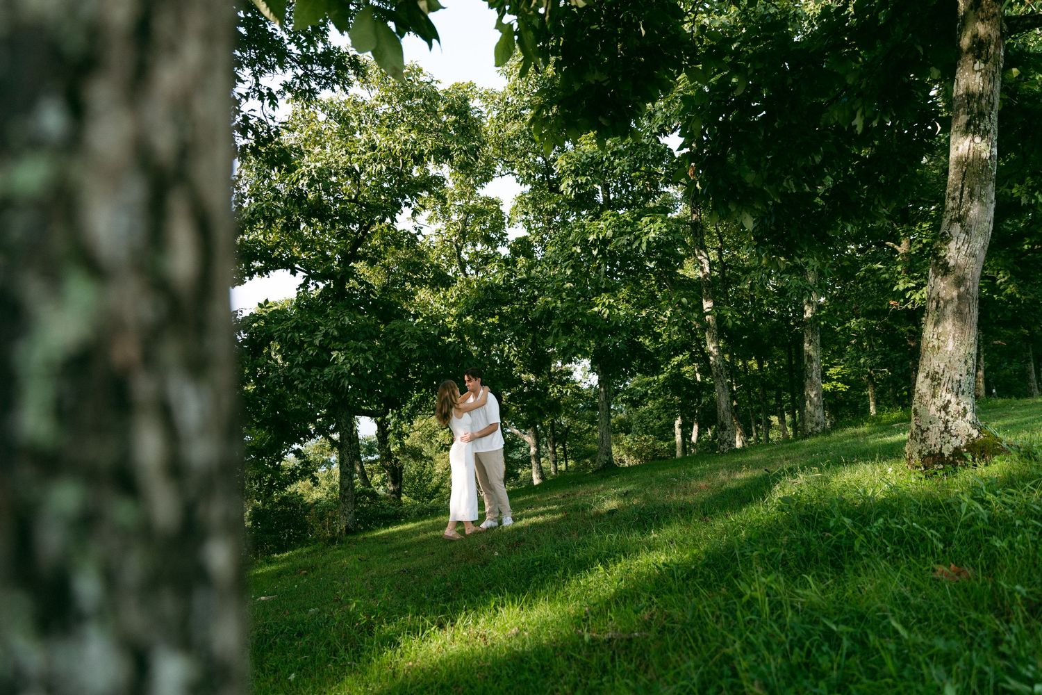 Couple embracing in a lush green forest clearing, surrounded by tall trees on a bright summer day.