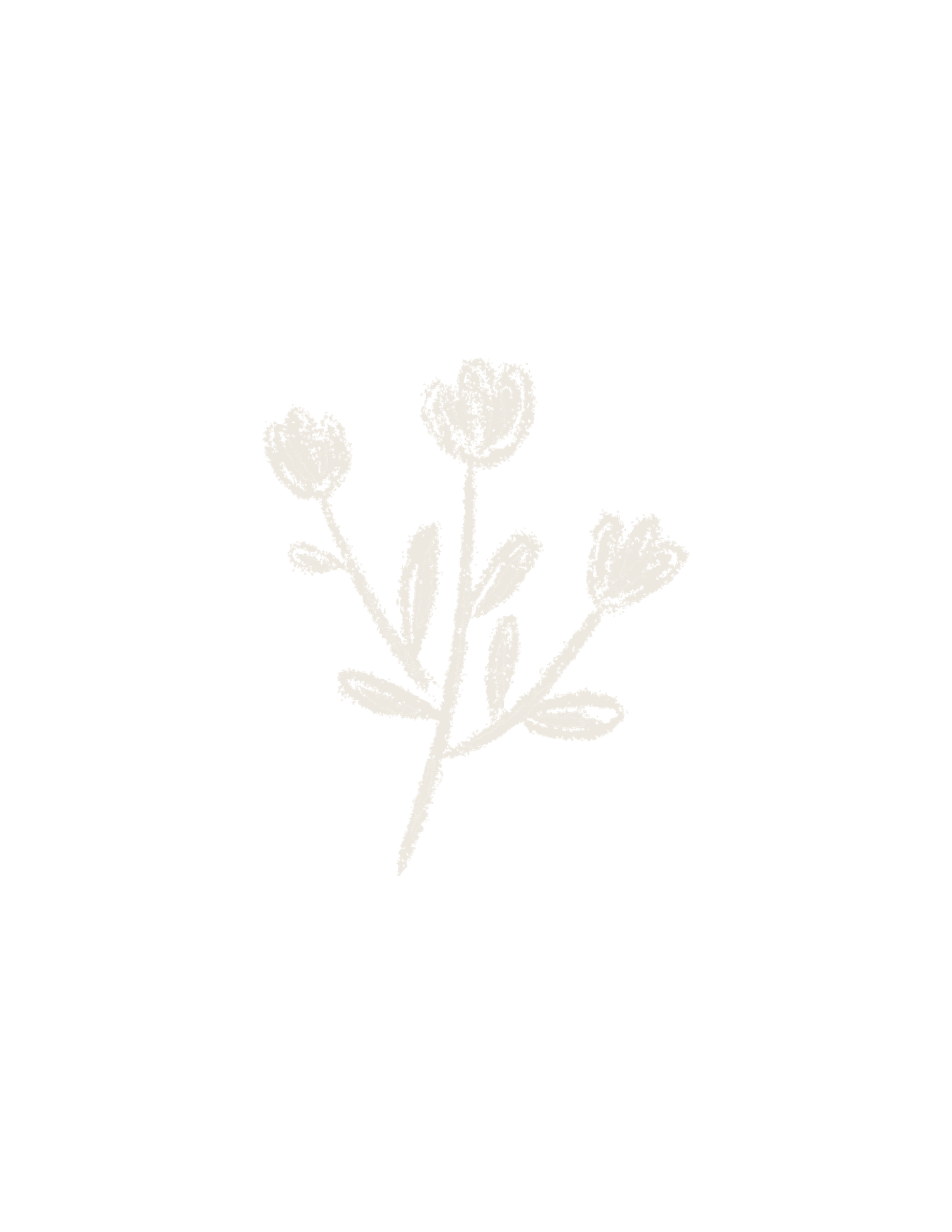 Delicate white floral illustration featuring three blooming flowers on stems with leaves on a white background.