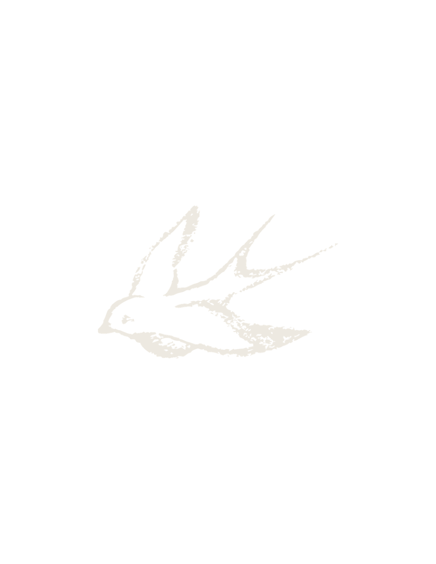 A delicate white swallow bird illustration with a vintage sketch style on a clean white background.
