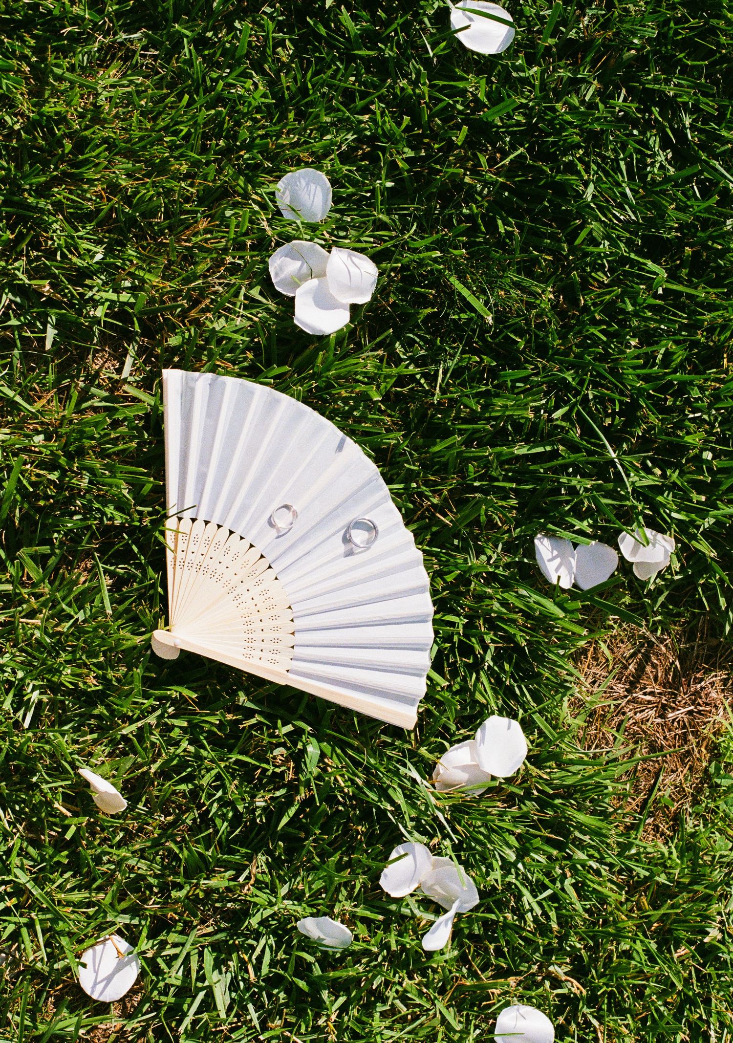 White folding hand fan resting on green grass surrounded by scattered white flower petals.