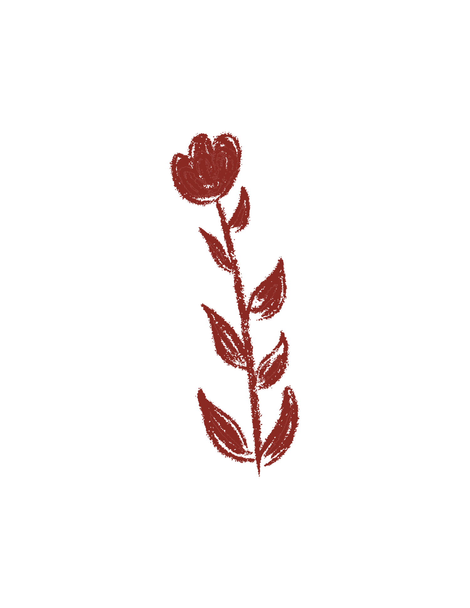Hand-drawn dark red tulip on a stem with leaves, sketched in a rustic crayon style on white background.