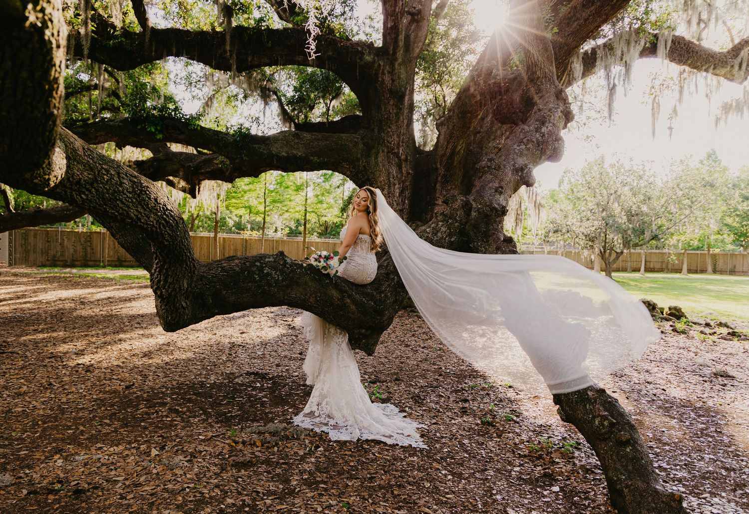 Bride in flowing white gown and veil poses on ancient oak tree branch in sunlit garden.
