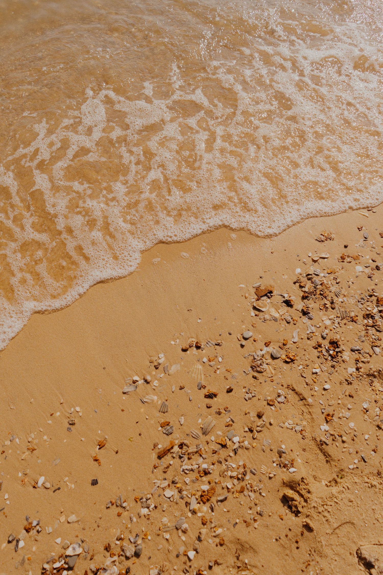 DMV Maryland engagement wedding photographer adventure session calvert cliffs beach