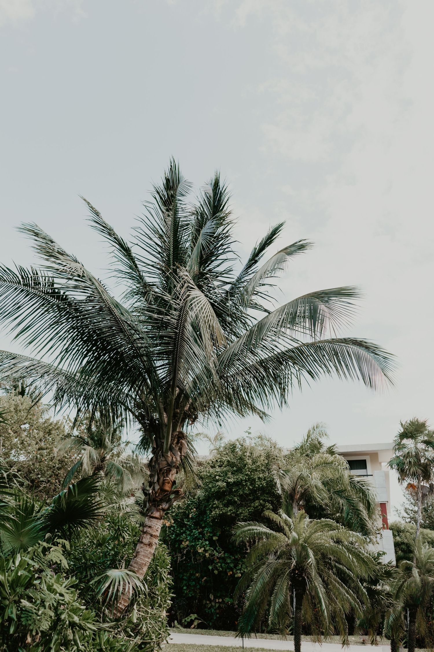 travel destination wedding and elopement photographer