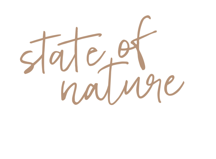 Hand lettered text reading 'state of nature' in casual brown cursive script on white background.