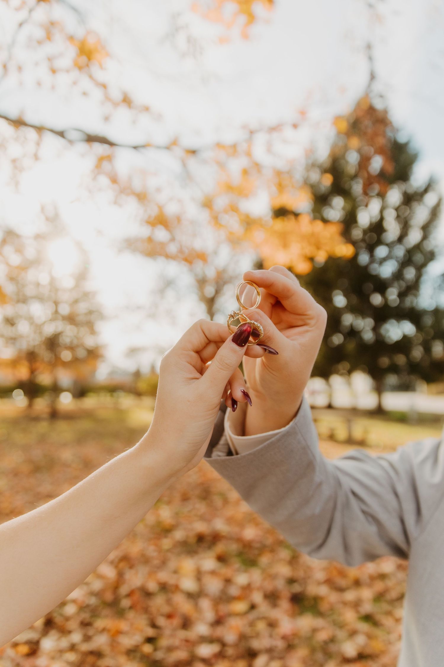 Two hands reach out to hold a leaf against a blurred autumn background with golden bokeh and fallen leaves.