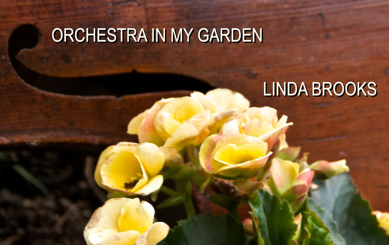 Musical flower photography bouquet of yellow roses in front of cello