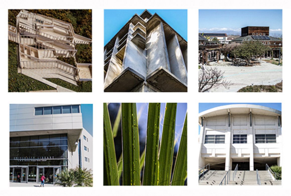 Workspace Branding Artwork collage buildings and trees