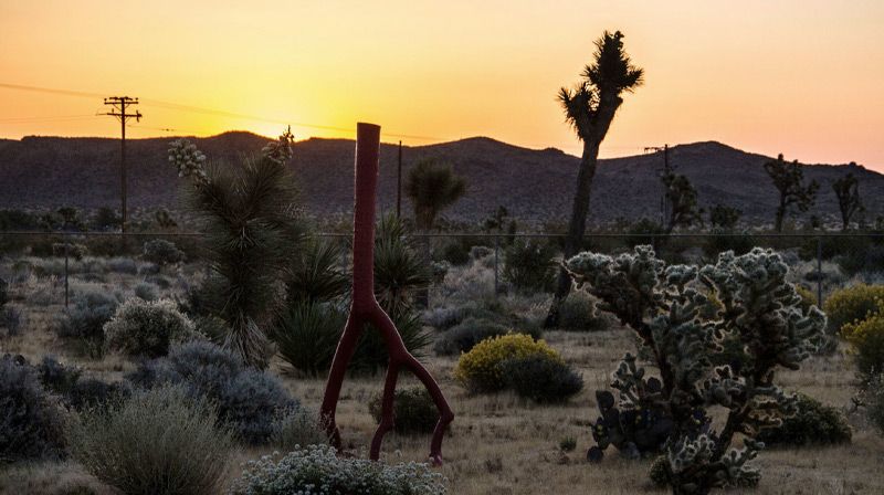 California desert image joshua tree mountains at sunset