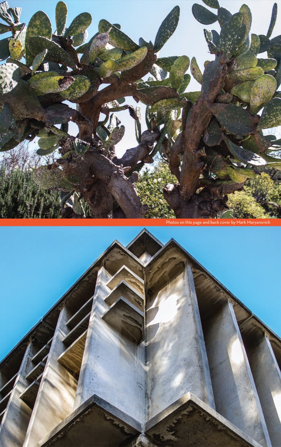 Corporate Lifestyle Photos college building and trees on campus ENV Magazine page 5