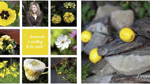 Branding Video Excerpt Linda Brooks Orchestra In My Garden