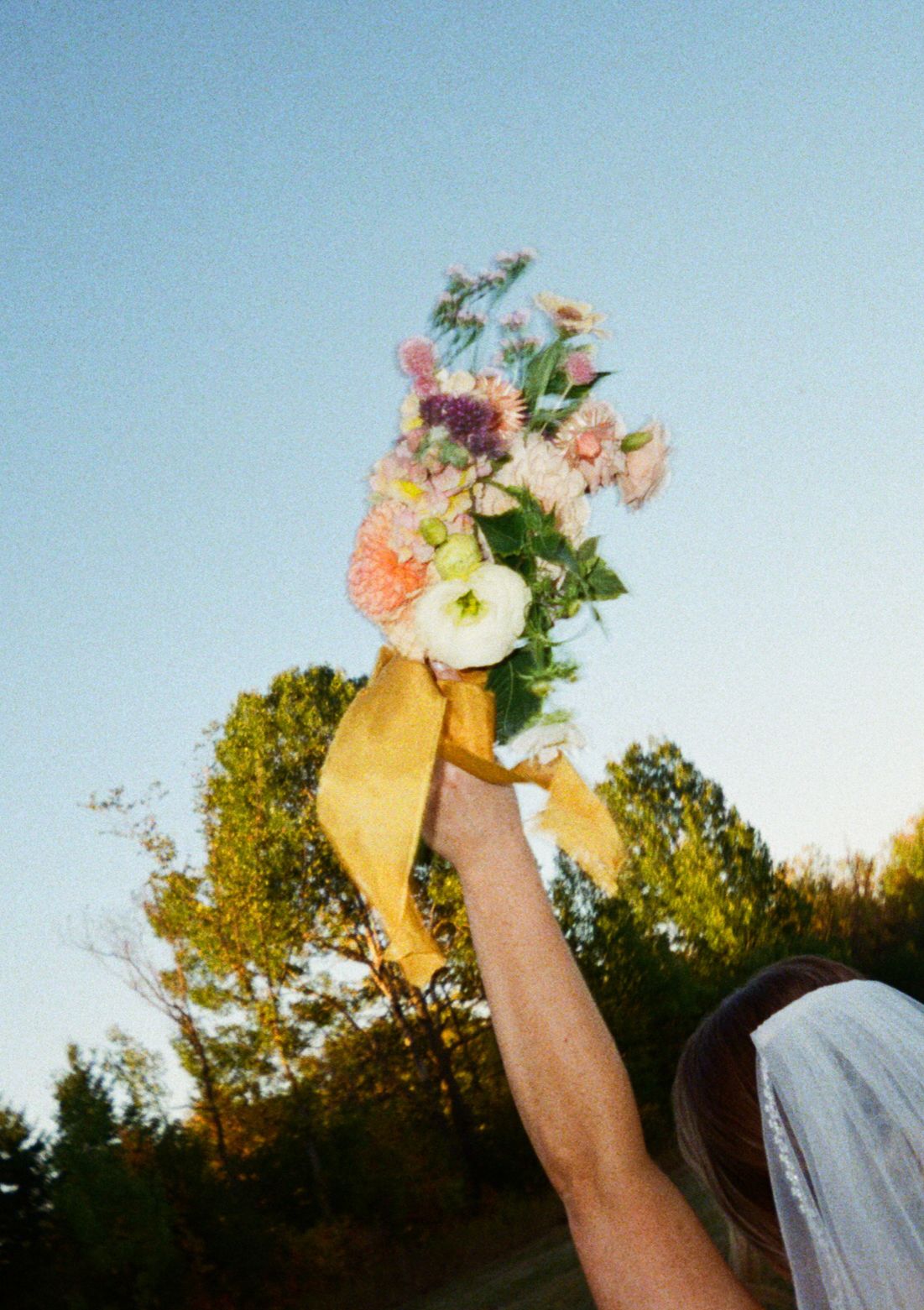 Floral bouquet on film.
