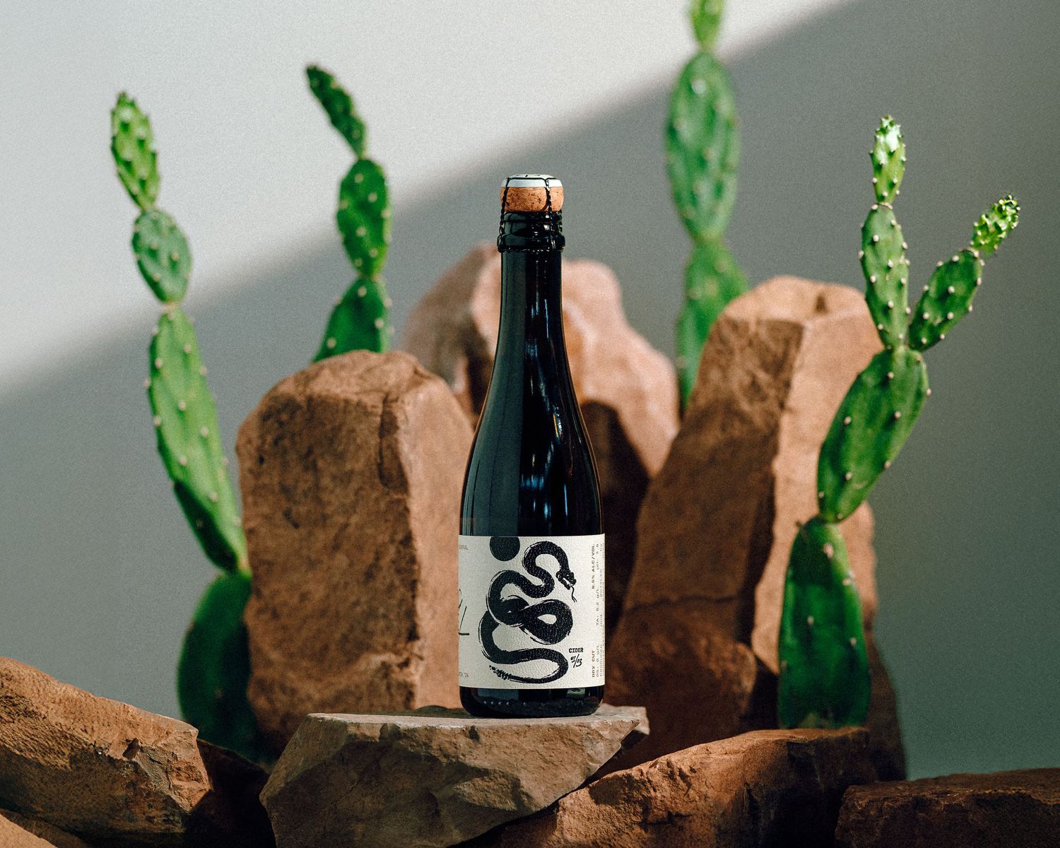 Six images show a bottle being gradually buried in red sand with green plant stems emerging around it.