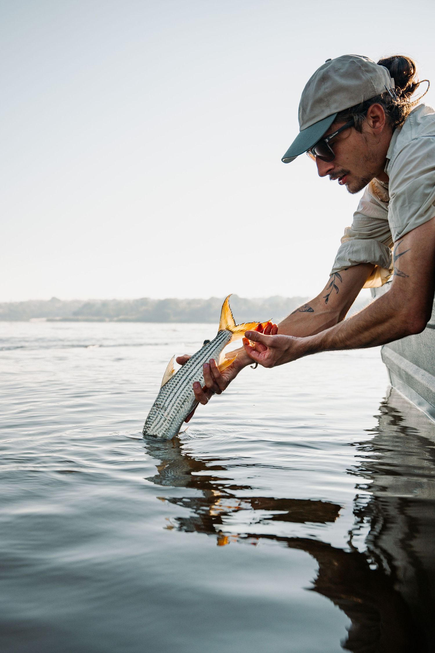 Person in cap releasing a fish back into calm waters at sunset with reflections on the water surface.