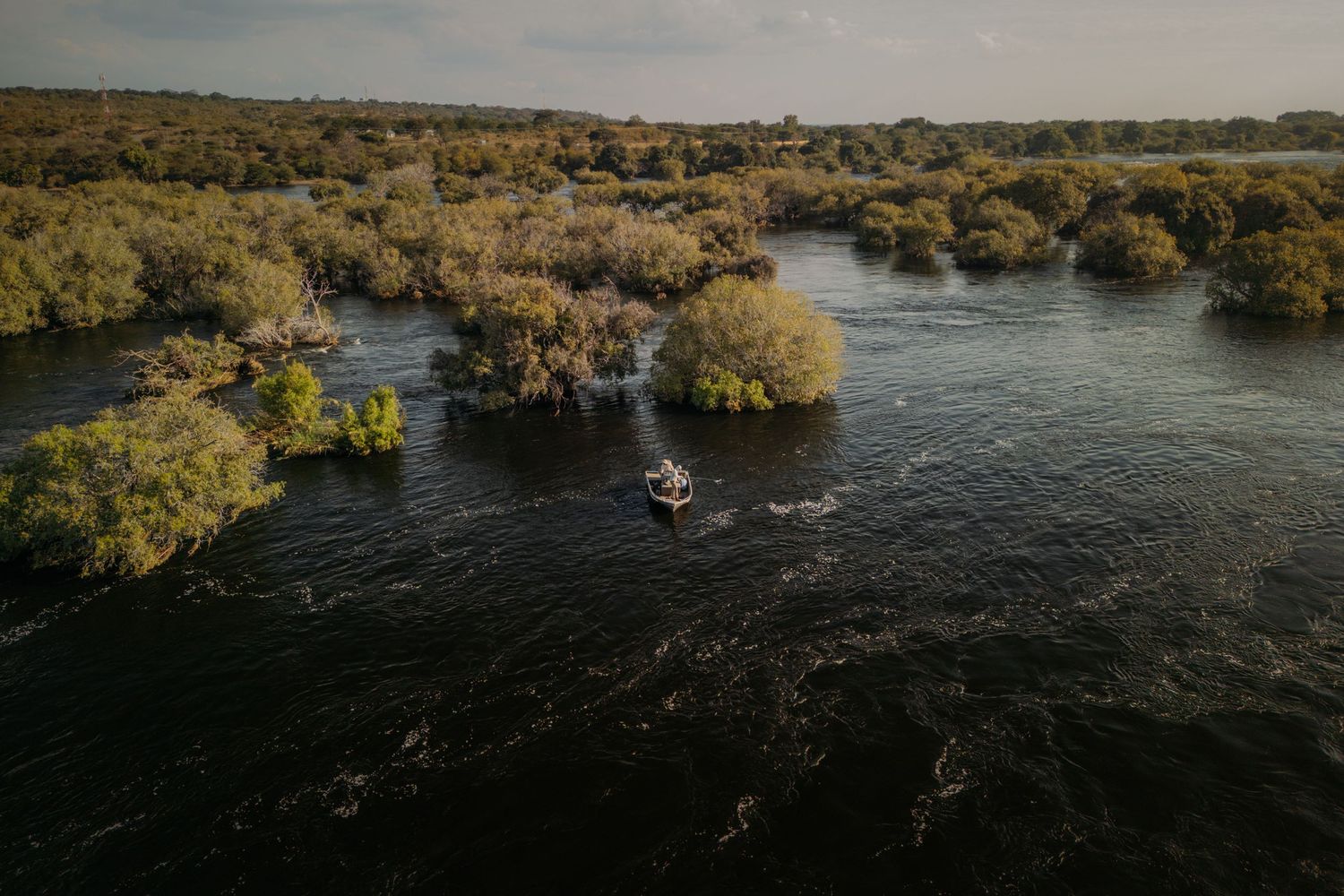 Aerial view of a boat navigating a wide river surrounded by lush green trees in a tropical landscape.