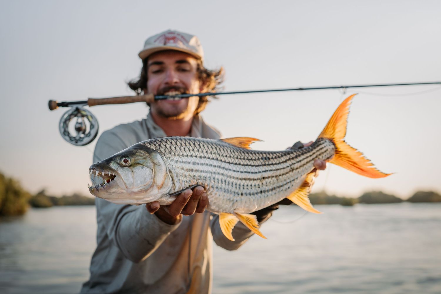 Angler holding a large tigerfish with a fly rod in his mouth, smiling on a river at sunset.