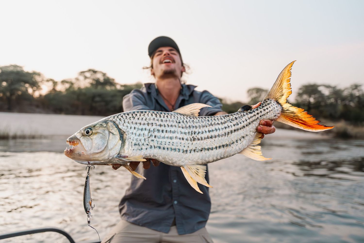 An excited angler holds a large striped bass caught at dusk on a peaceful waterway with trees in the background.