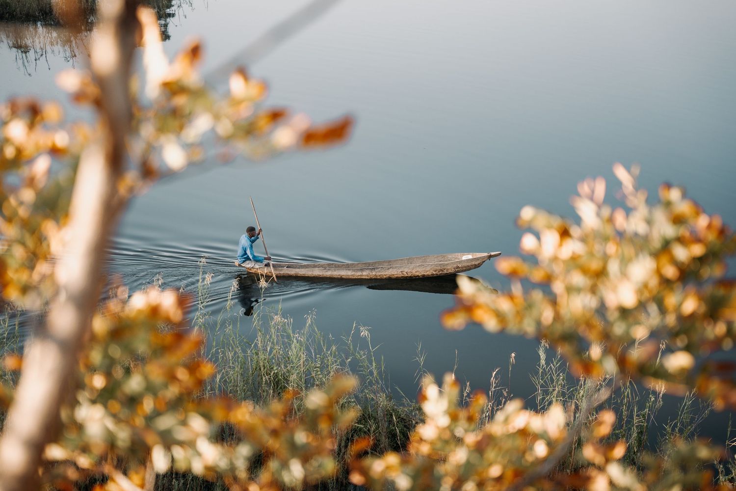Aerial view of a person rowing single scull boat through calm water surrounded by autumn foliage.