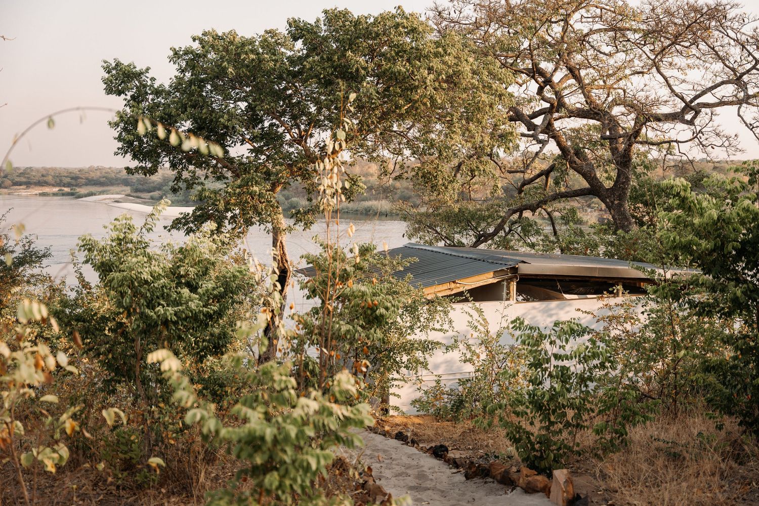 Seven panoramic nature photos stitched together showing trees and water views from different angles and perspectives.