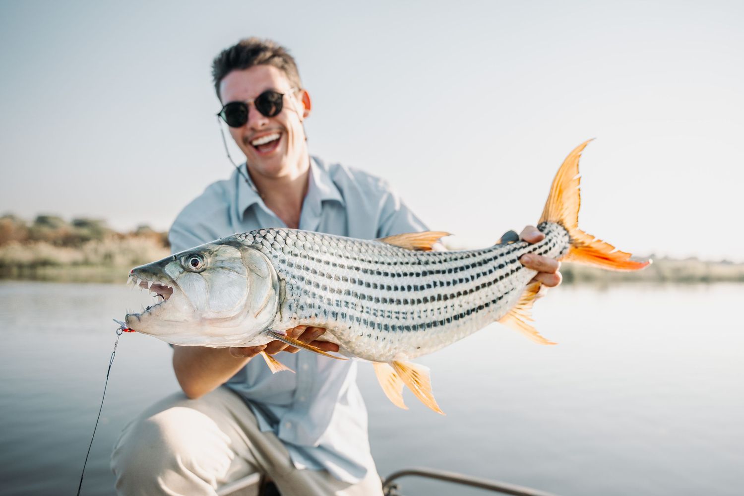 Happy angler holding a large striped bass while fishing from boat on calm waters during sunny day.