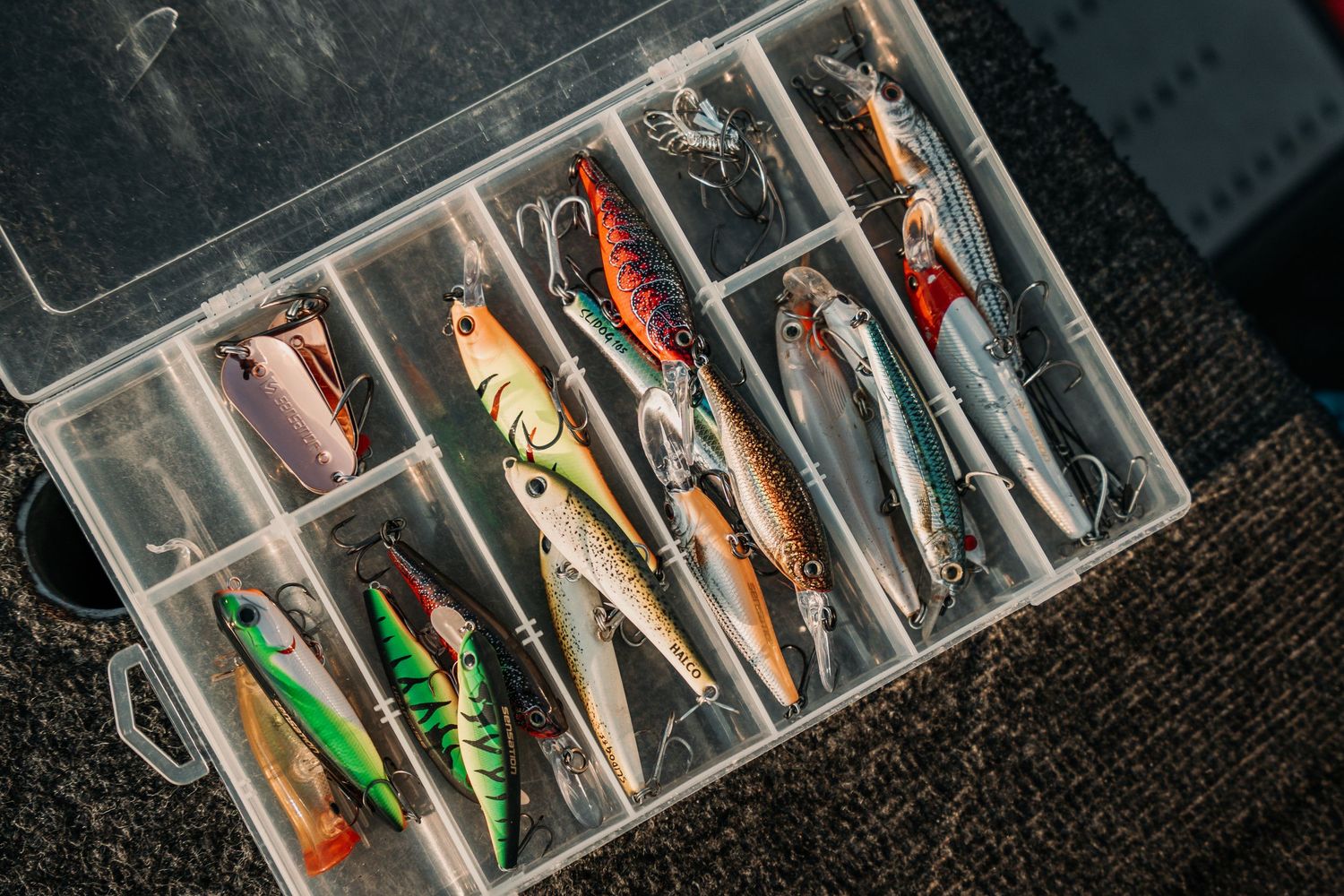 Close-up view of a fishing tackle box compartments filled with colorful lures and bait.