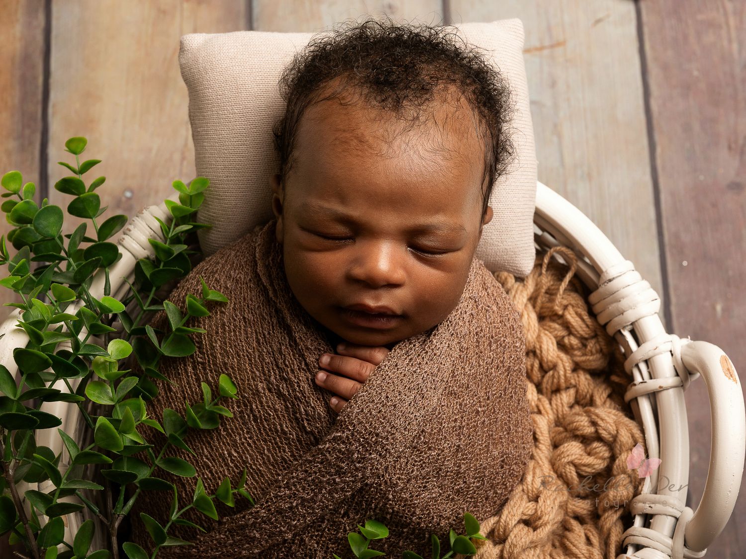 A series of five photos showing someone with braided hair sitting against a wooden wall with green plants.