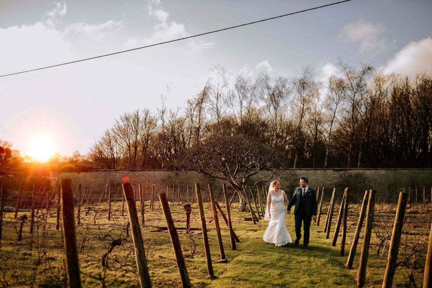 Sunset wedding photo in a vineyard with wooden posts casting long shadows.