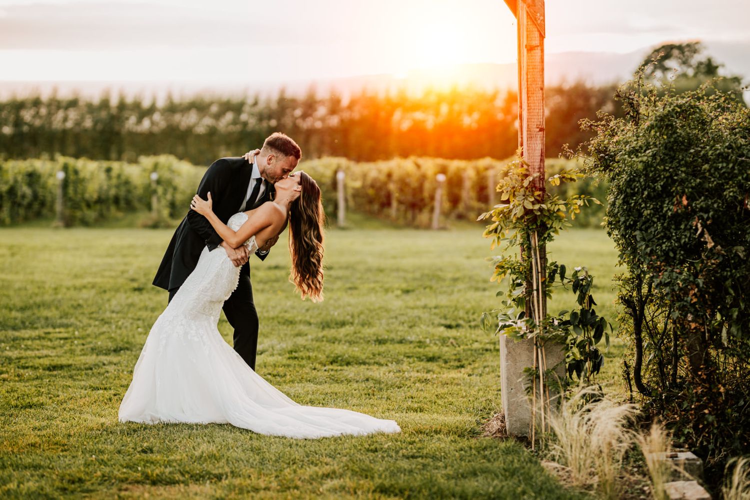 Wedding couple poses in a sunny outdoor field at golden hour.