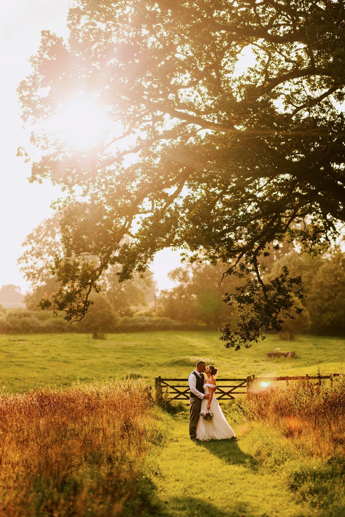 Romantic sunset wedding photoshoot in a golden meadow with dramatic lighting.