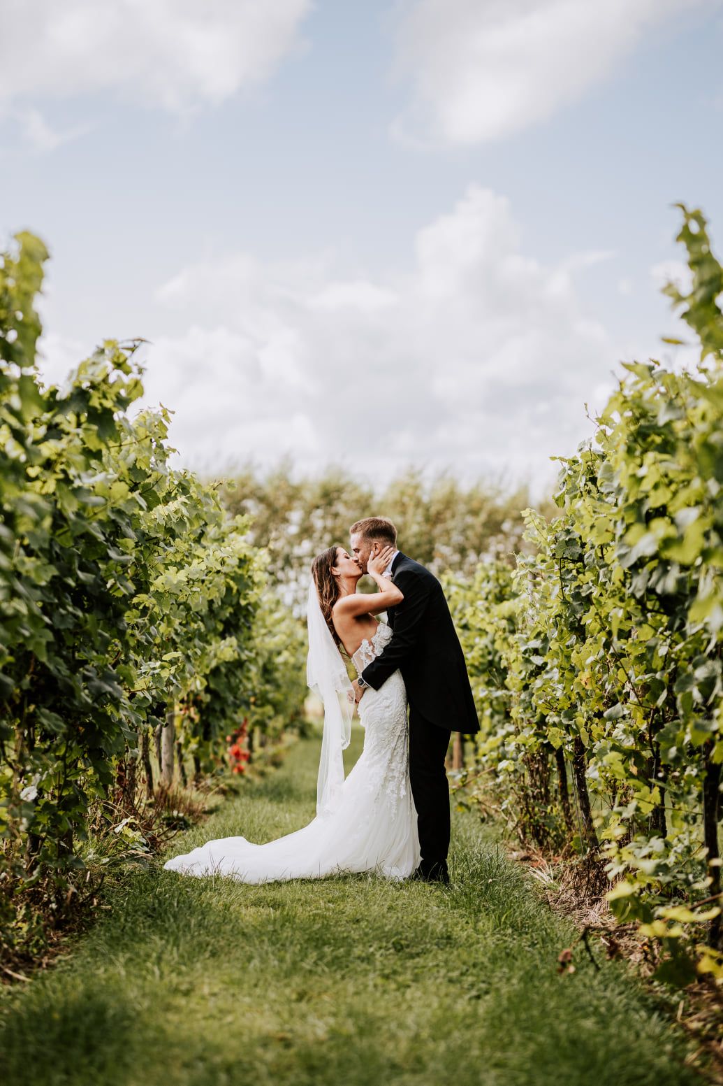 Newlyweds share an intimate moment among vineyard rows during sunset.