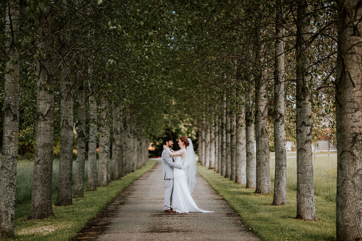 Wedding couple photographed in dramatic tree-lined avenue with natural perspective.