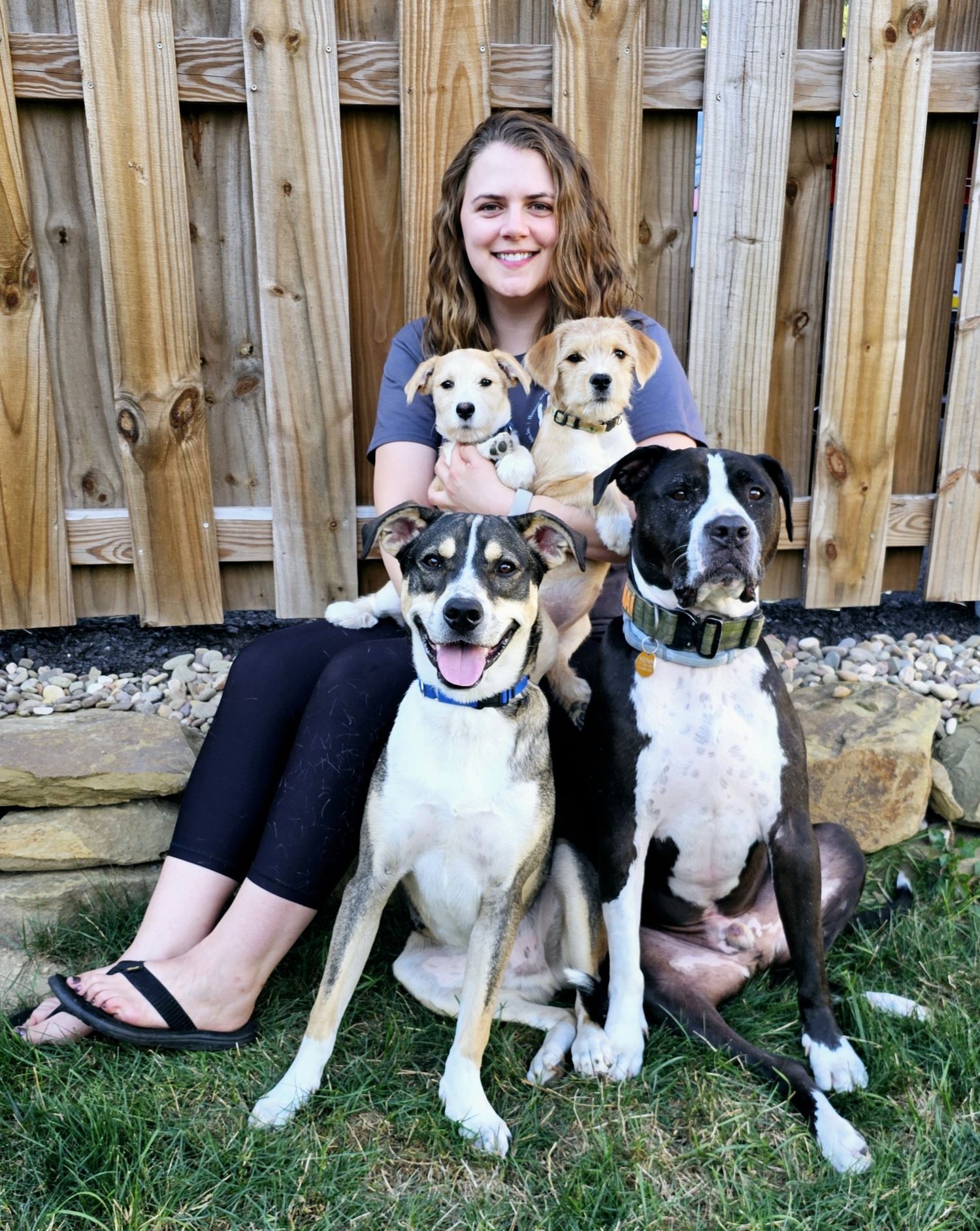 A young woman is smiling and sitting with two adult dogs and two puppies.