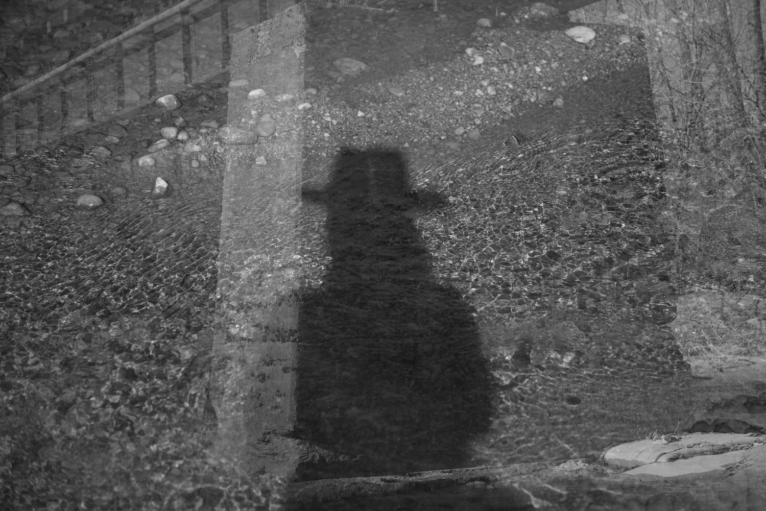 A black and white self portrait showing a shadow of a figure wearing a cowboy hat illuminated over a babbling creek.