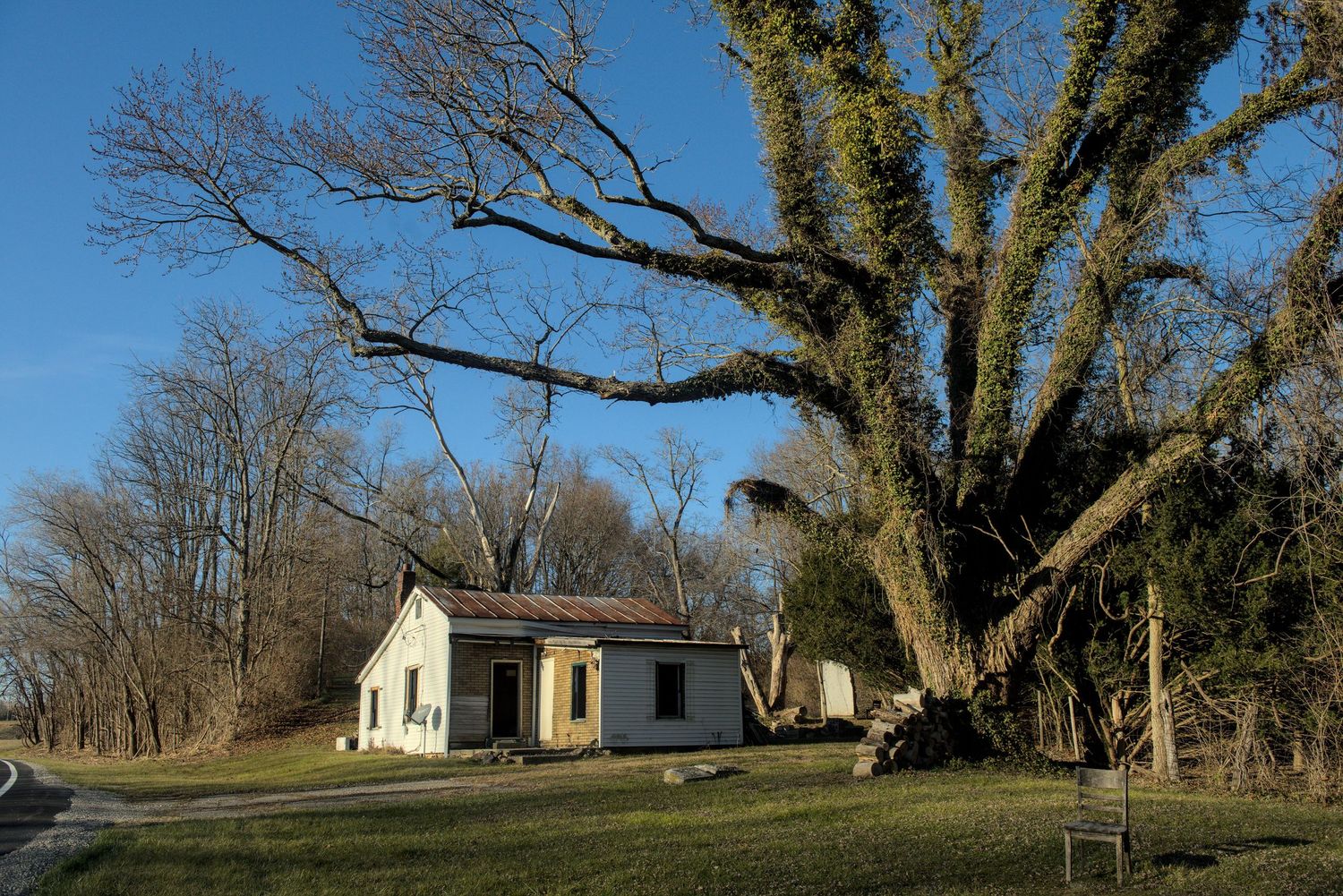 A small abandoned house sits underneath a large tree that is covered in vines. A wooden chair sits facing the road.