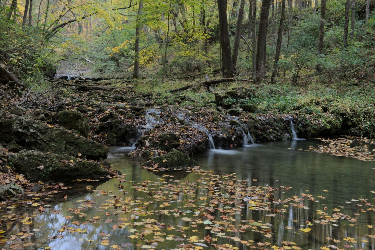 A small creek reflects the fall colors with a bunch of fallen leaves in it as well. Water trickles over tiny waterfalls.