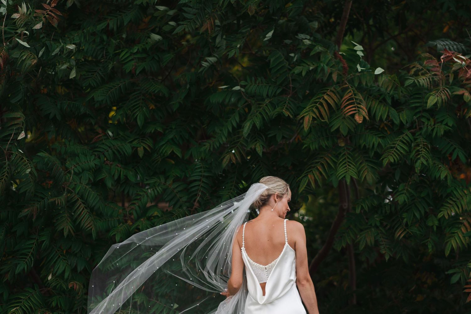 Bride in a backless white wedding gown with her veil blowing in the breeze against lush greenery in Downtown Etobicoke, Toronto.