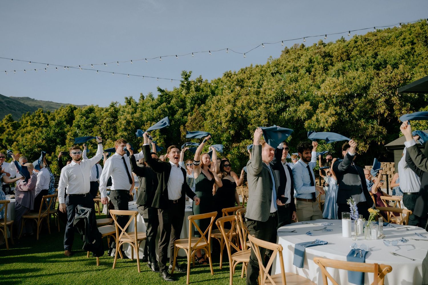 Outdoor wedding reception guests raising glasses in a toast on a sunny day with string lights and lush green hills in the background.