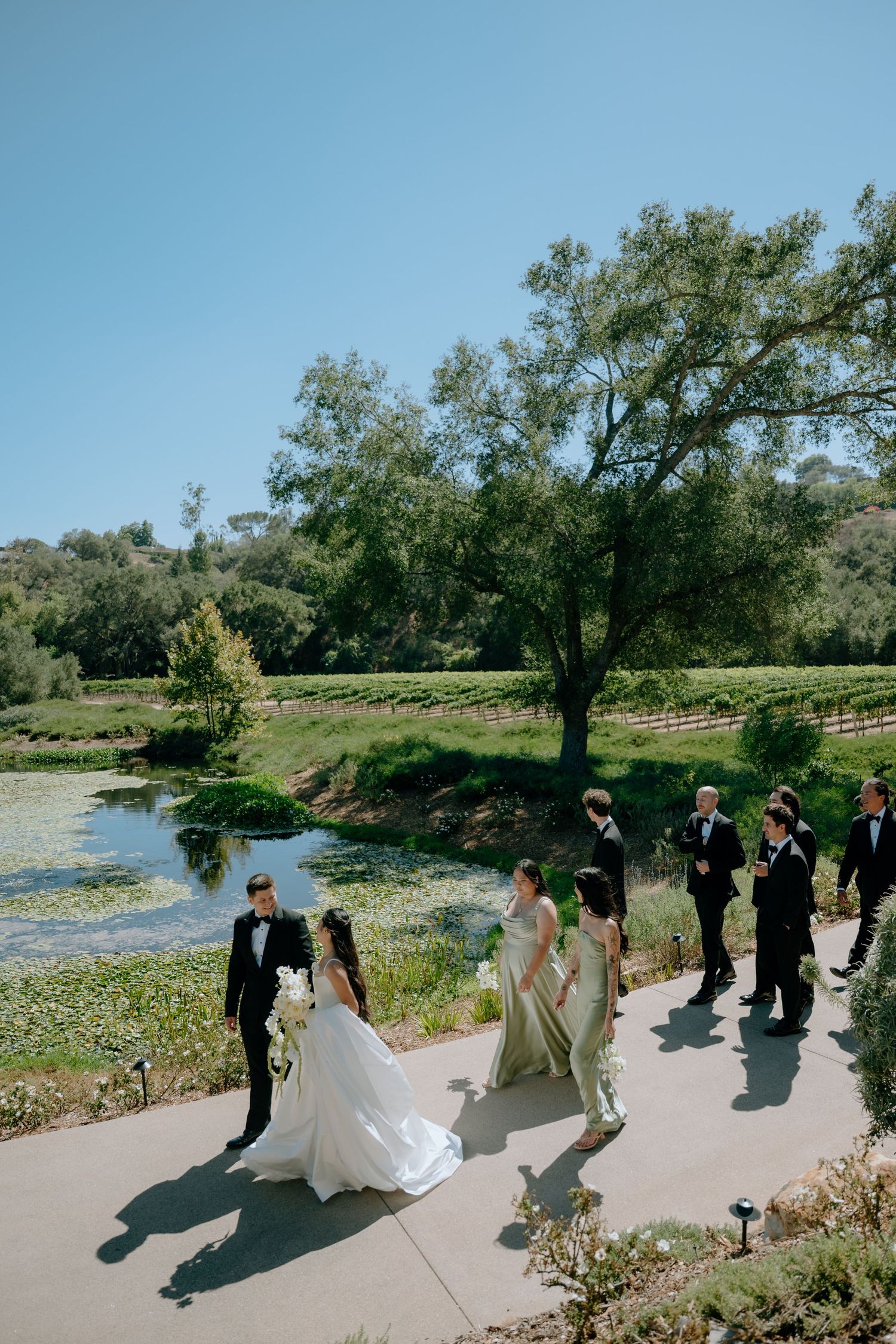 Wedding party walks along a scenic vineyard path by a pond, bride in white gown with bridesmaids in sage green dresses.