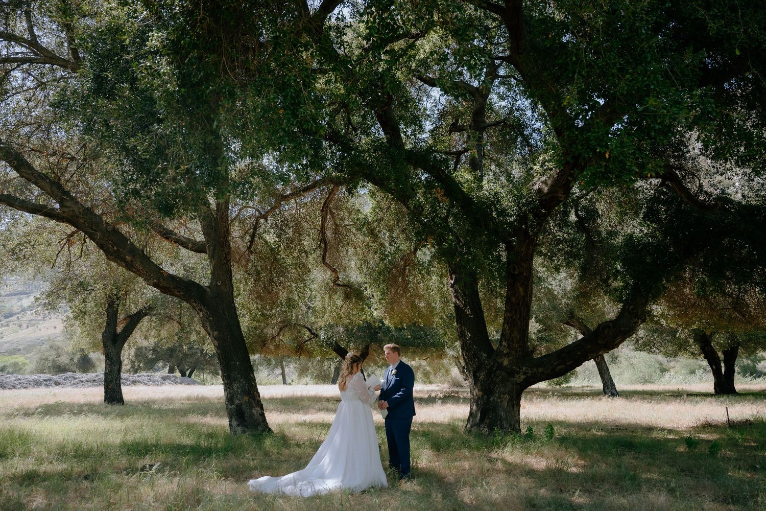 Bride and groom share romantic moment under sprawling oak trees in sunlit outdoor wedding photo.