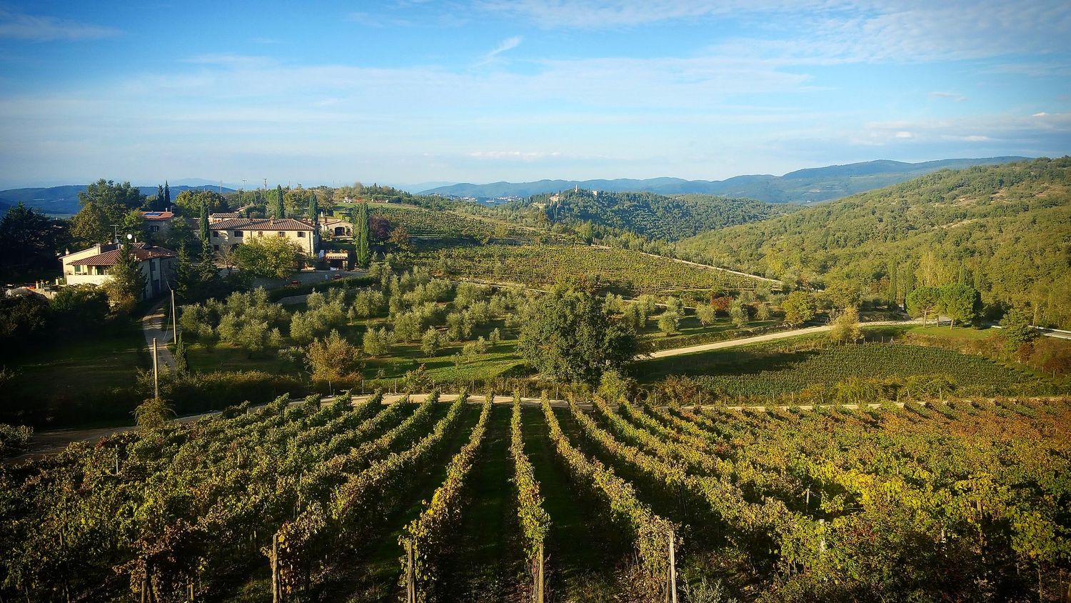 Tuscan vineyard rows in golden light with rolling hills and a farmhouse in the distance.