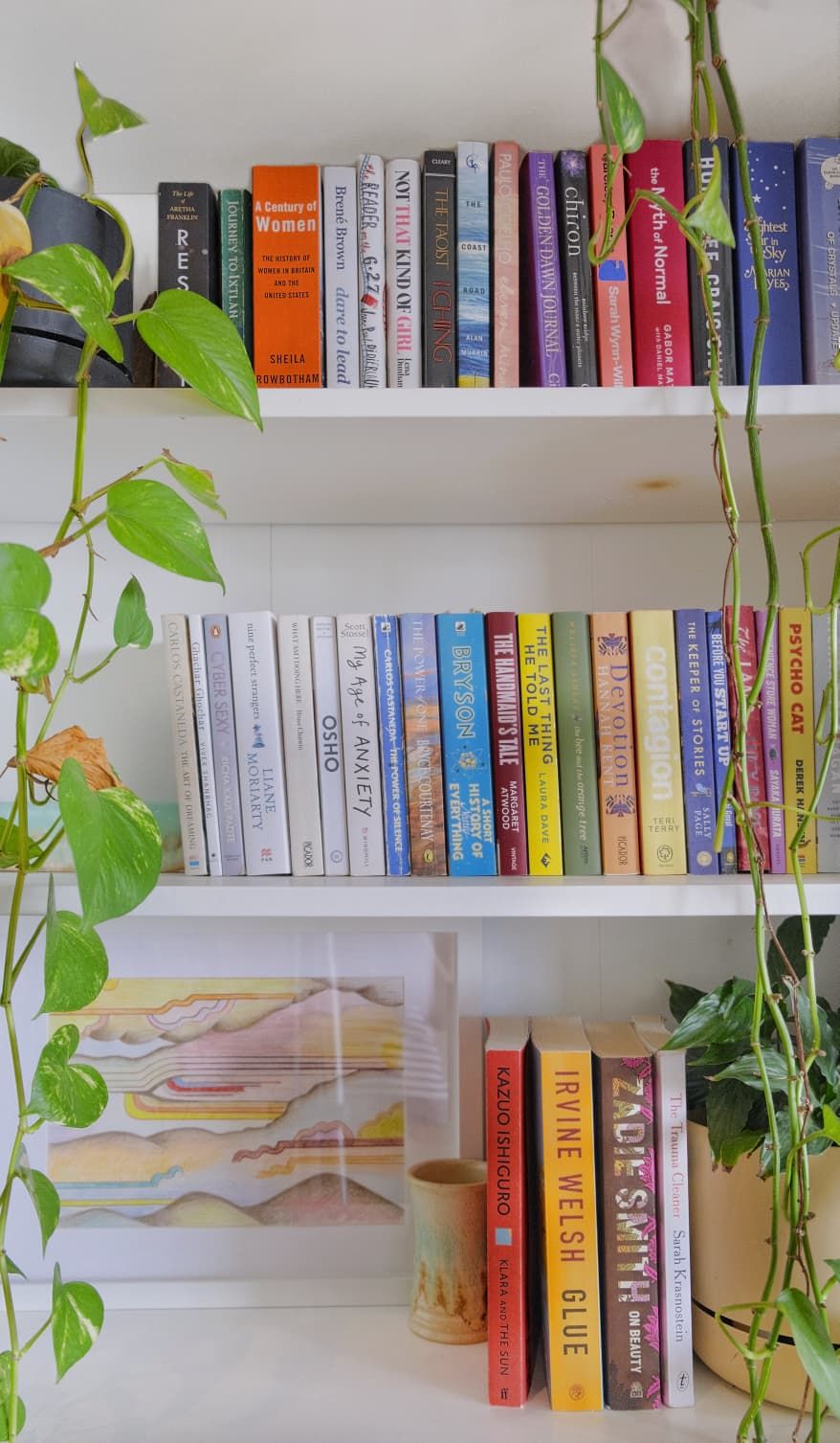 White bookshelf with colorfully arranged books, a framed abstract print and trailing green vines.