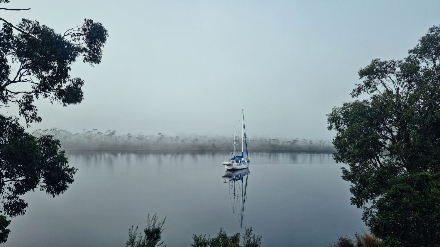 A lone sailboat rests on a tranquil, misty river at dawn, framed by silhouetted eucalyptus trees on both sides.