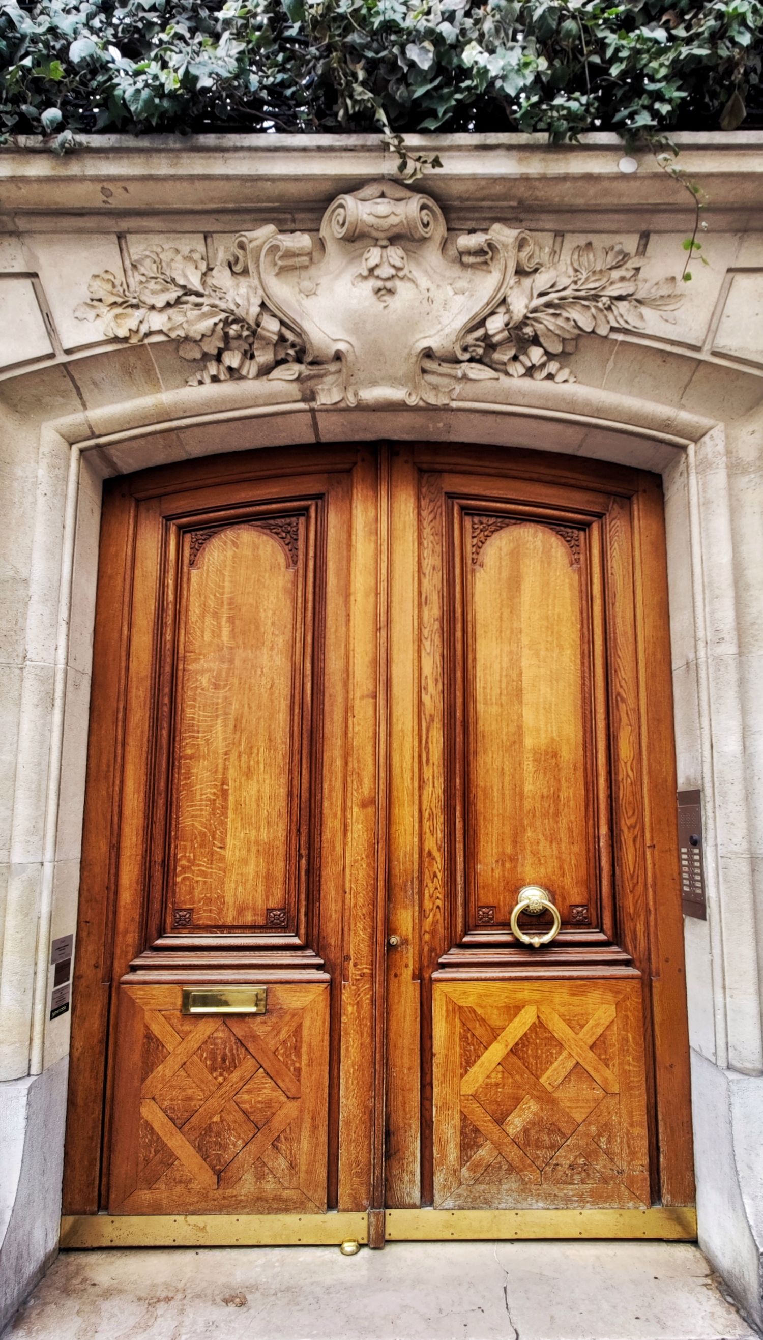 An ornate carved wooden double door with a brass ring handle sits beneath a decorative stone archway topped with ivy in Paris.