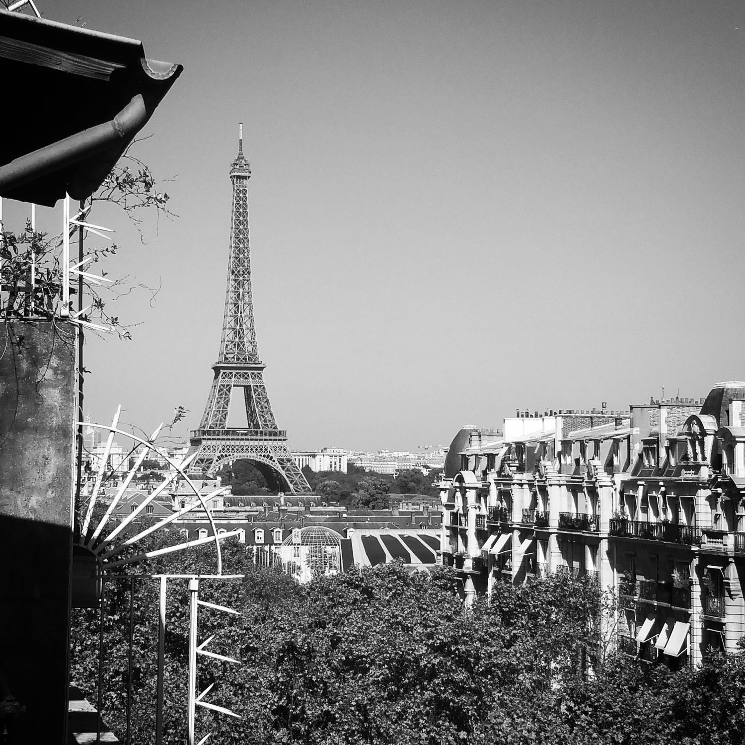 Black and white view of the Eiffel Tower rising above Parisian rooftops and trees, seen from a balcony.