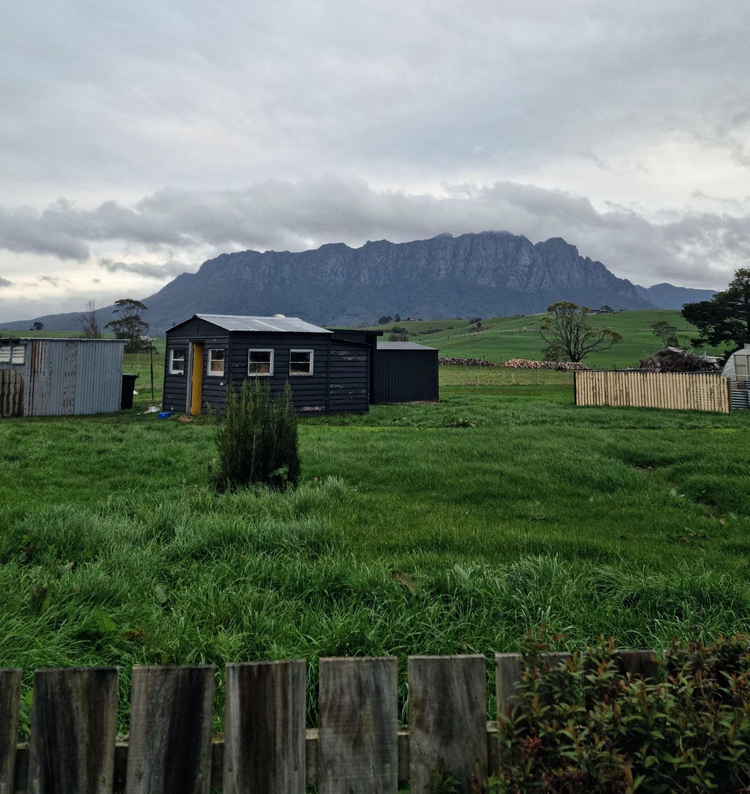 A dark rustic cabin sits in a green grassy paddock with a dramatic mountain rising beneath a cloudy sky.