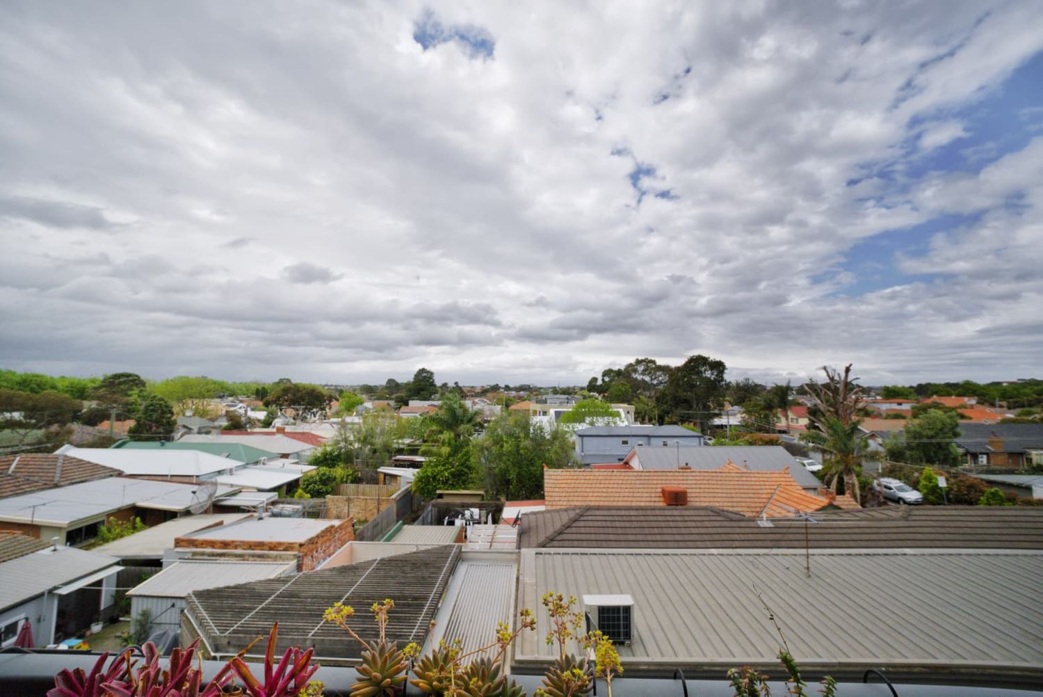 Elevated view of suburban rooftops, green trees and a cloudy blue sky, with pink flowers in the foreground.