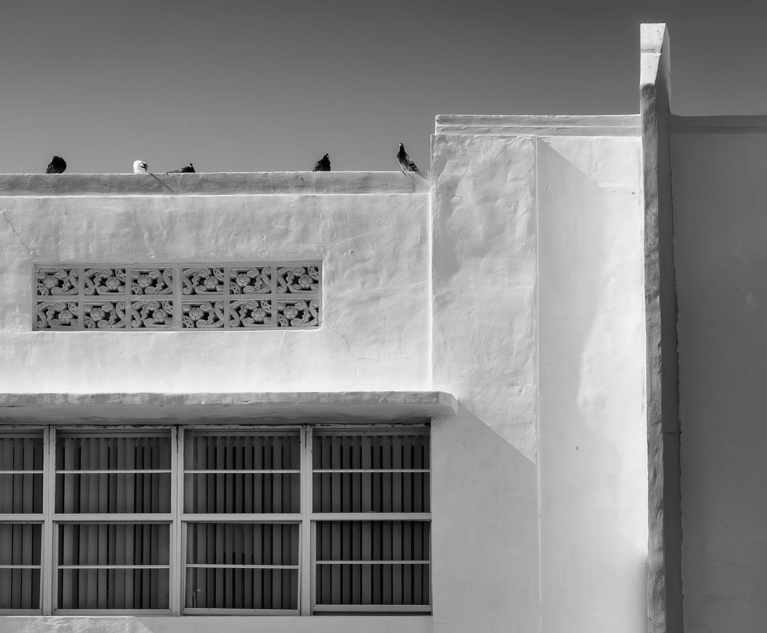 Black and white photo of a white building exterior with barred windows and birds on rooftop.