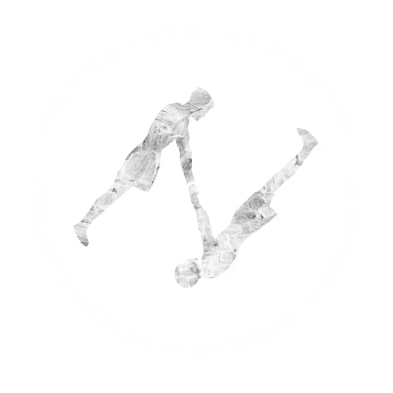 Nogravity Academy logo